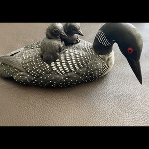 Gosset Loon and Chicks